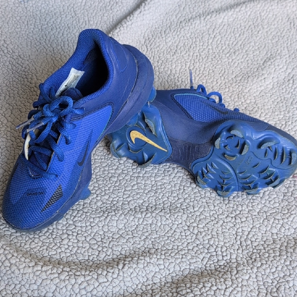 Nike Boys Blue Force Trout 8 Clem